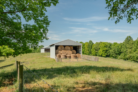 94± Acre Tn Country Home, Hunting, Lake & Creek Frontage! - image 39