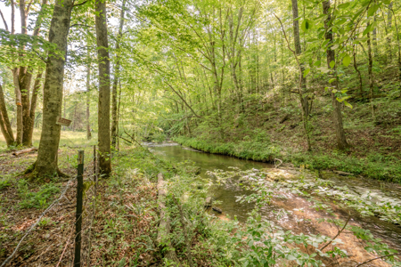94± Acre Tn Country Home, Hunting, Lake & Creek Frontage! - image 43