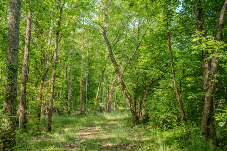 94± Acre Tn Country Home, Hunting, Lake & Creek Frontage! - image 44