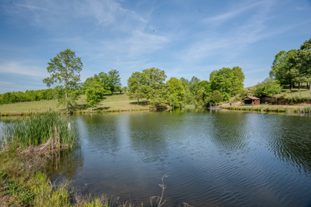 94± Acre Tn Country Home, Hunting, Lake & Creek Frontage! - image 48