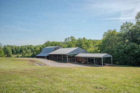 94± Acre Tn Country Home, Hunting, Lake & Creek Frontage! - image 22