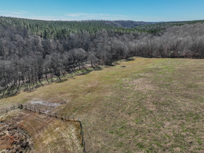 Tennessee 94 Acres of Turn-Key Country Living! - image 27