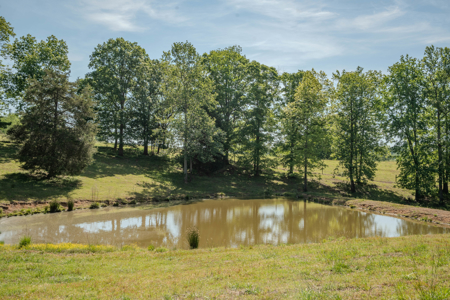 94± Acre Tn Country Home, Hunting, Lake & Creek Frontage! - image 36