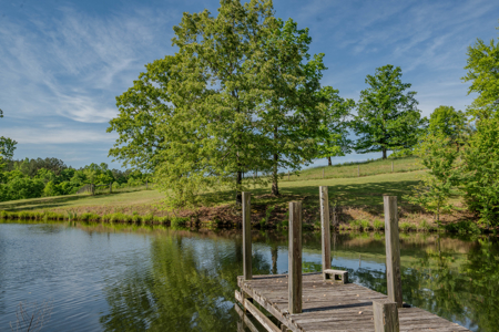 94± Acre Tn Country Home, Hunting, Lake & Creek Frontage! - image 23