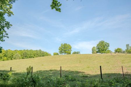 94± Acre Tn Country Home, Hunting, Lake & Creek Frontage! - image 45