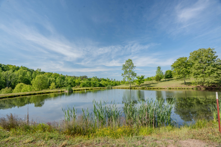 94± Acre Tn Country Home, Hunting, Lake & Creek Frontage! - image 27