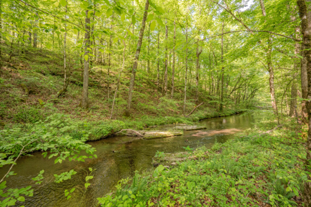 94± Acre Tn Country Home, Hunting, Lake & Creek Frontage! - image 42