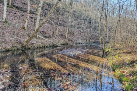 Tennessee 94 Acres of Turn-Key Country Living! - image 3