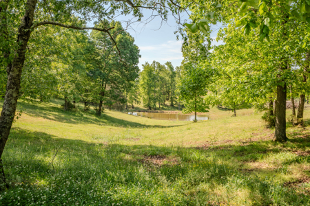94± Acre Tn Country Home, Hunting, Lake & Creek Frontage! - image 37