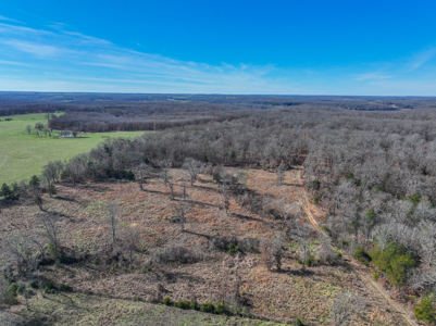 Land for Sale in St. Clair County Missouri - image 1