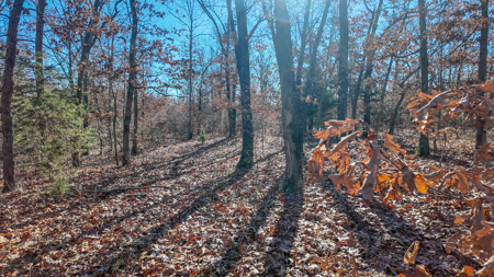 Land for Sale in St. Clair County Missouri - image 15