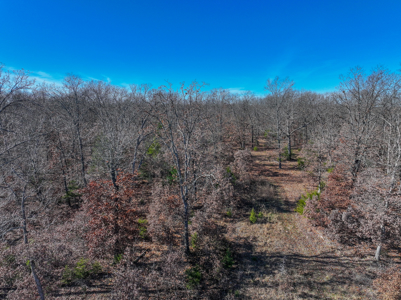 Land for Sale in St. Clair County Missouri - image 41