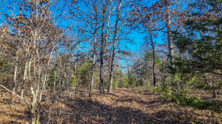 Land for Sale in St. Clair County Missouri - image 24