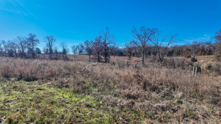 Land for Sale in St. Clair County Missouri - image 9