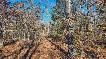 Land for Sale in St. Clair County Missouri - image 13
