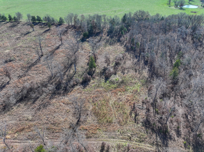 Land for Sale in St. Clair County Missouri - image 38