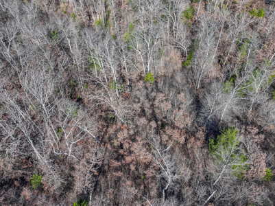 Land for Sale in St. Clair County Missouri - image 43