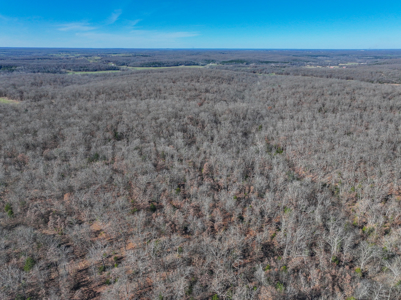Land for Sale in St. Clair County Missouri - image 33