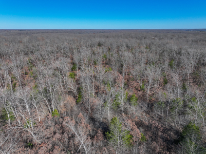 Land for Sale in St. Clair County Missouri - image 40