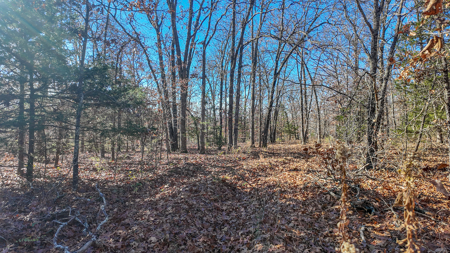 Land for Sale in St. Clair County Missouri - image 26