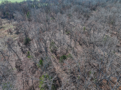 Land for Sale in St. Clair County Missouri - image 39
