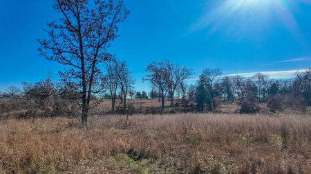 Land for Sale in St. Clair County Missouri - image 17