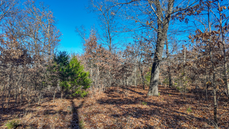 Land for Sale in St. Clair County Missouri - image 16
