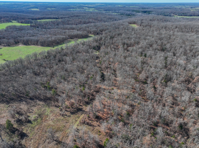 Land for Sale in St. Clair County Missouri - image 32