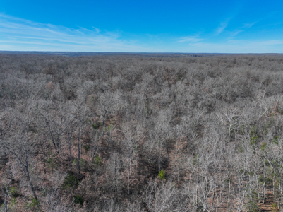 Land for Sale in St. Clair County Missouri - image 46