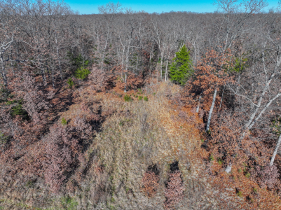 Land for Sale in St. Clair County Missouri - image 6