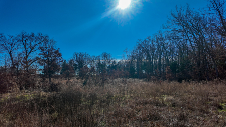 Land for Sale in St. Clair County Missouri - image 8
