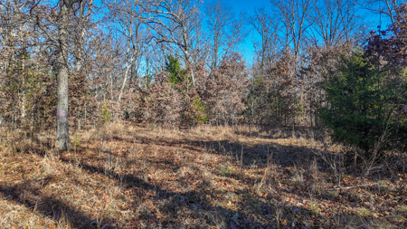 Land for Sale in St. Clair County Missouri - image 7