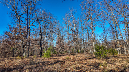 Land for Sale in St. Clair County Missouri - image 10
