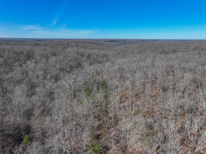 Land for Sale in St. Clair County Missouri - image 45