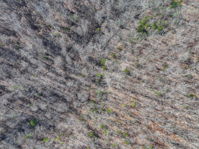 Land for Sale in St. Clair County Missouri - image 37