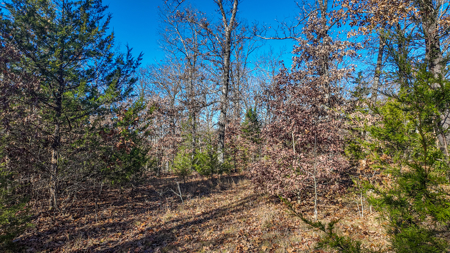 Land for Sale in St. Clair County Missouri - image 22