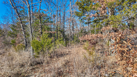 Land for Sale in St. Clair County Missouri - image 21