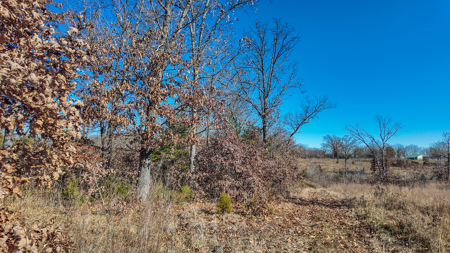 Land for Sale in St. Clair County Missouri - image 18