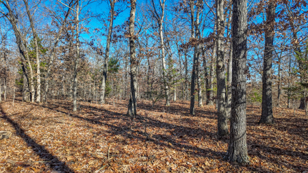 Land for Sale in St. Clair County Missouri - image 14