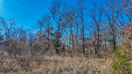 Land for Sale in St. Clair County Missouri - image 19
