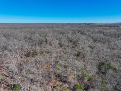 Land for Sale in St. Clair County Missouri - image 47