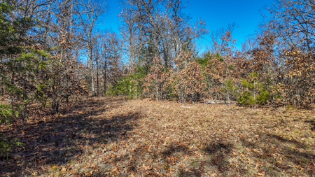 Land for Sale in St. Clair County Missouri - image 25