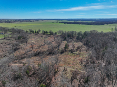 Land for Sale in St. Clair County Missouri - image 4