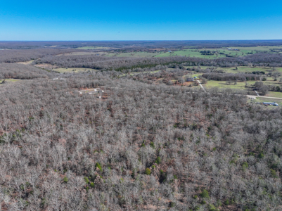Land for Sale in St. Clair County Missouri - image 35