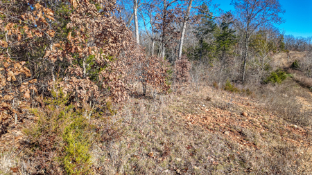 Land for Sale in St. Clair County Missouri - image 20