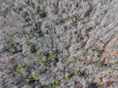 Land for Sale in St. Clair County Missouri - image 30