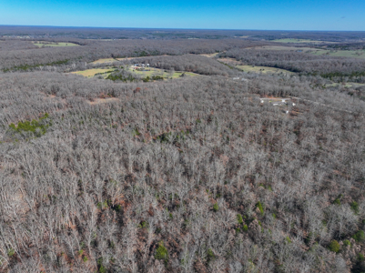 Land for Sale in St. Clair County Missouri - image 34