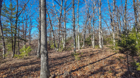 Land for Sale in St. Clair County Missouri - image 23
