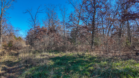 Land for Sale in St. Clair County Missouri - image 2