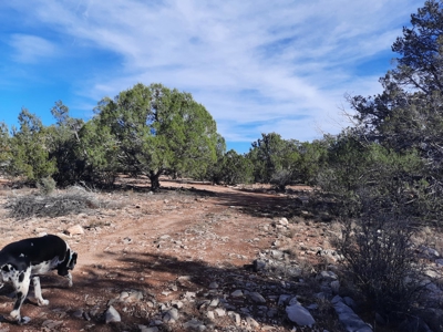 Beautiful Northern AZ off grid Dream getaway - image 17